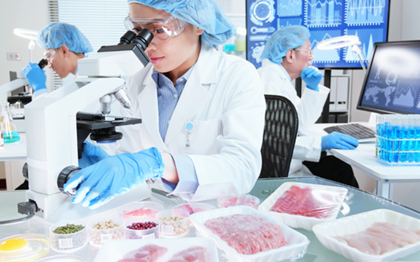 Gıda üretim hattı